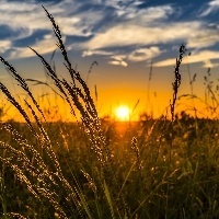 Santa Catarina conta com delegacia de repressão aos crimes contra o agro