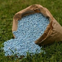 Fertilizantes nitrogenados: Brasil prestes a perder fonte russa