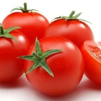 Tomate ajuda a prevenir doenças e ter uma saúde melhor 