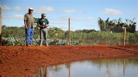 Tanques lonados para armazenar água são alternativas para a agricultura familiar do DF