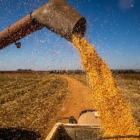 MS já aplicou R$ 9,2 bilhões de crédito rural
